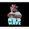 Rod Wave Tapestry Official Rod Wave Merch